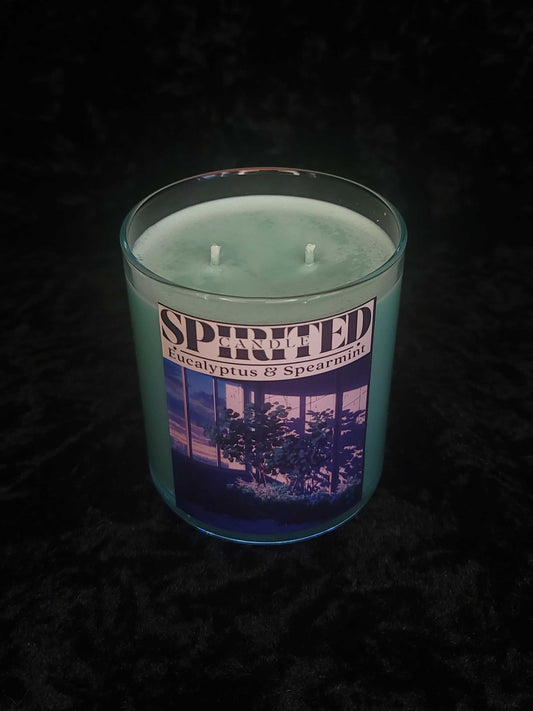 Eucalyptus & Spearmint - 10oz Candle