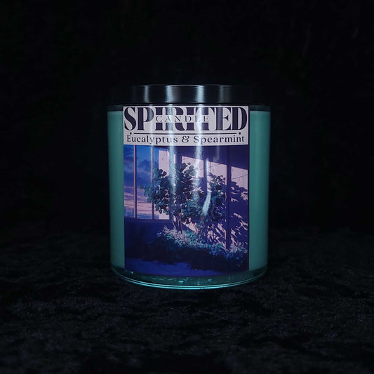 Eucalyptus & Spearmint - 10oz Candle