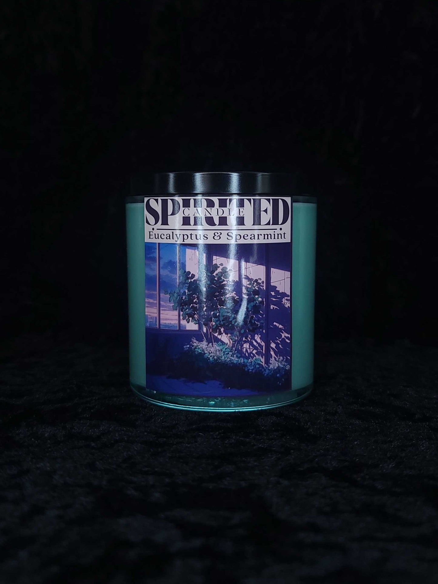 Eucalyptus & Spearmint - 10oz Candle