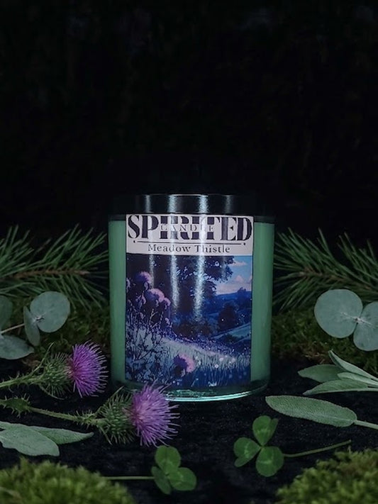 Meadow Thistle - 10oz Candle